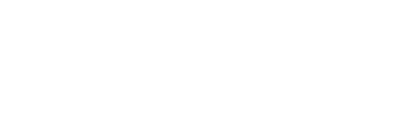Solana Logo
